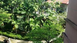 Yishun Emerald (D27), Condominium #452515691